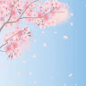 Meet your Posher, Shenicka